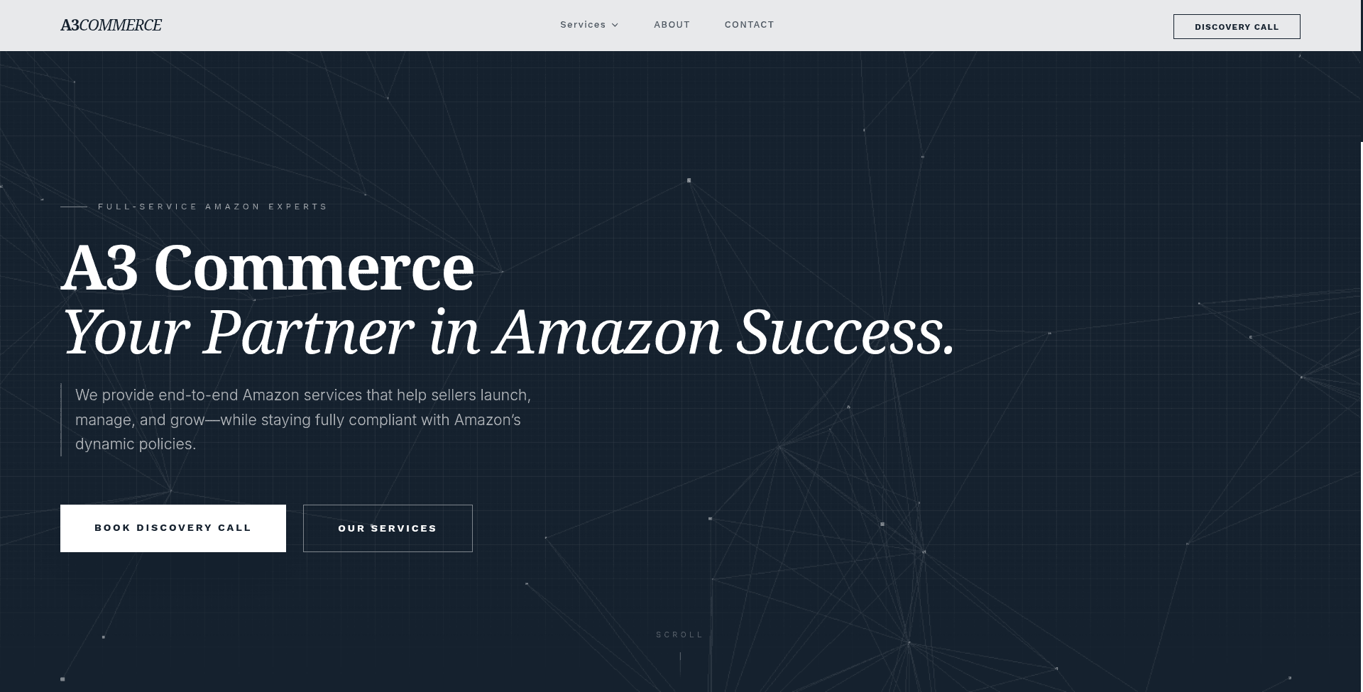 A3 Commerce preview